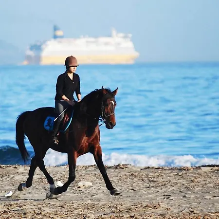 Chic Proche De La Bastia (Corsica)