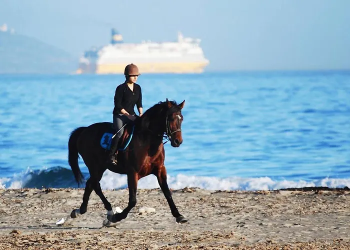 Chic Proche De La Bastia (Corsica)