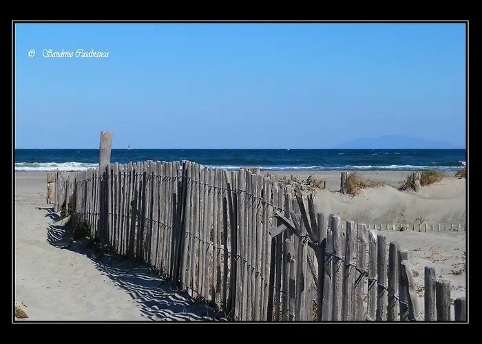 Chic Proche De La 巴斯蒂亚